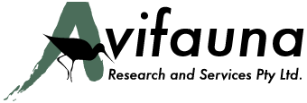 Avifauna Research logo
